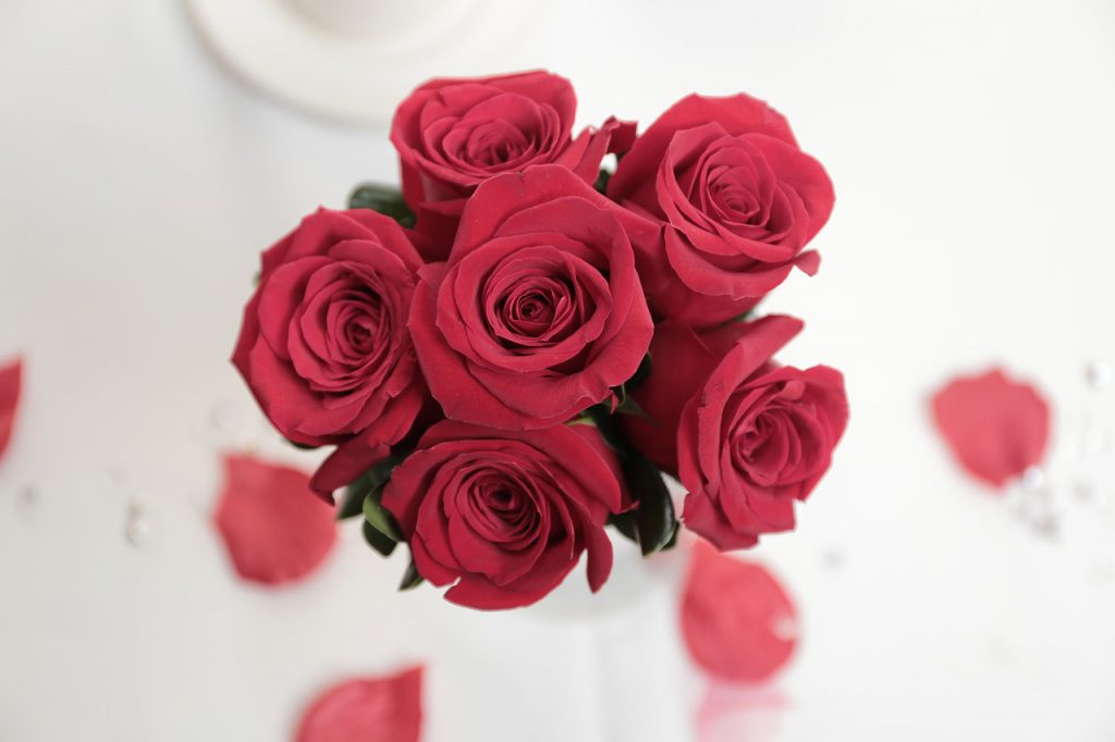 花屋の音楽